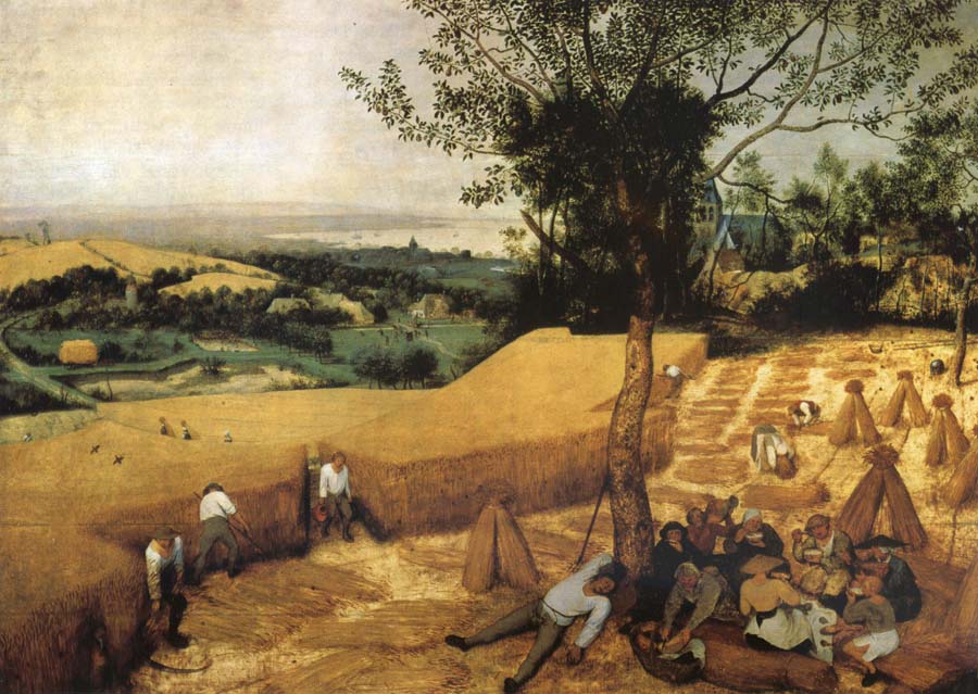 The harvest